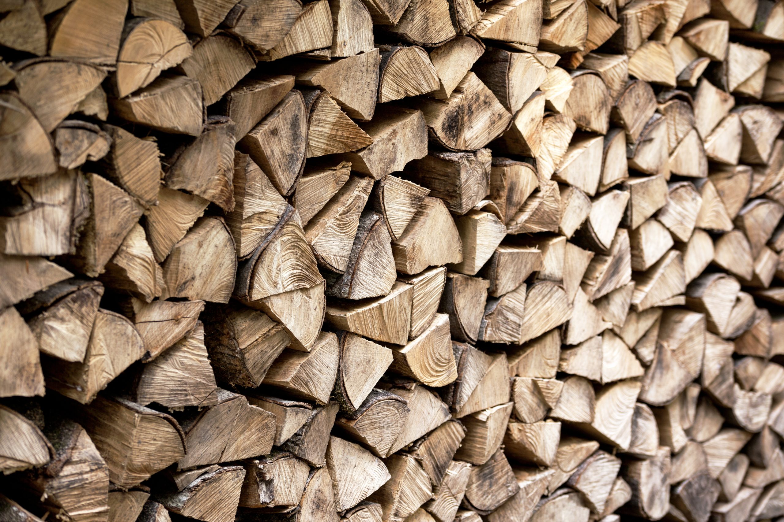 Firewood Heat-Treating